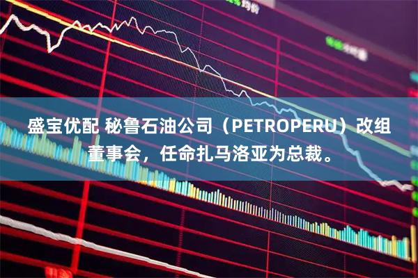 盛宝优配 秘鲁石油公司（PETROPERU）改组董事会，任命扎马洛亚为总裁。