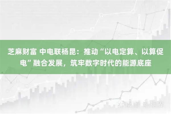 芝麻财富 中电联杨昆：推动“以电定算、以算促电”融合发展，筑牢数字时代的能源底座