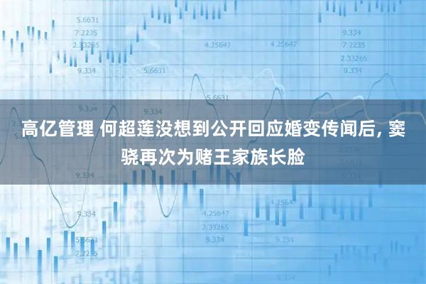 高亿管理 何超莲没想到公开回应婚变传闻后, 窦骁再次为赌王家族长脸